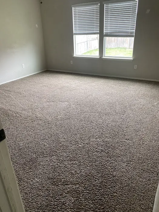 3B Mold Removal Picture 2