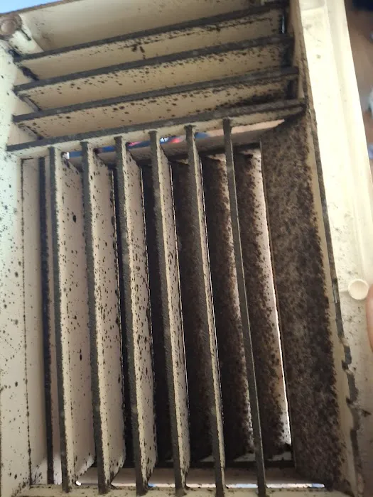 3B Mold Removal Picture 8