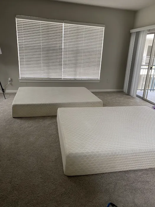 3B Mold Removal Picture 1