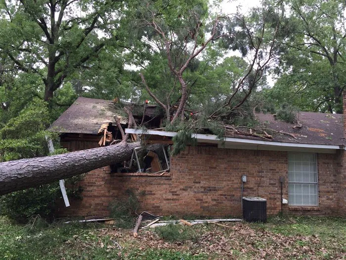 Xpert Restoration Services Picture 1