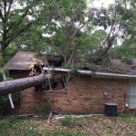 Xpert Restoration Services