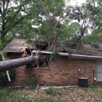 Xpert Restoration Services ico