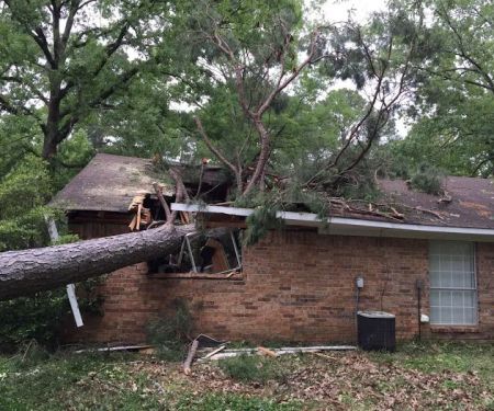 Xpert Restoration Services