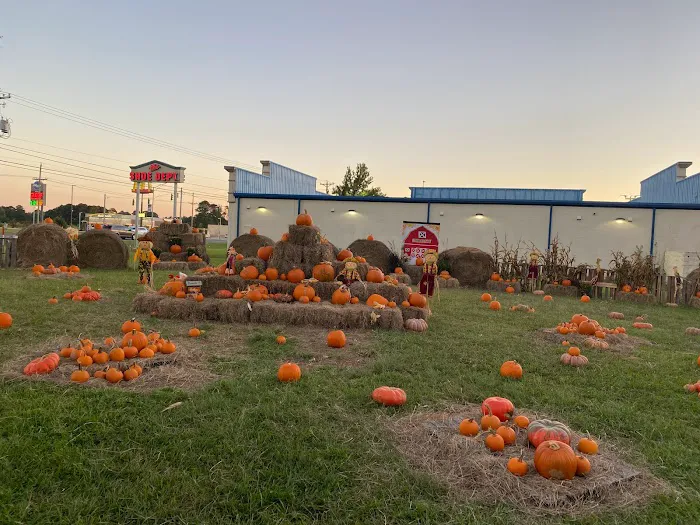 Tech Medics Picture 4