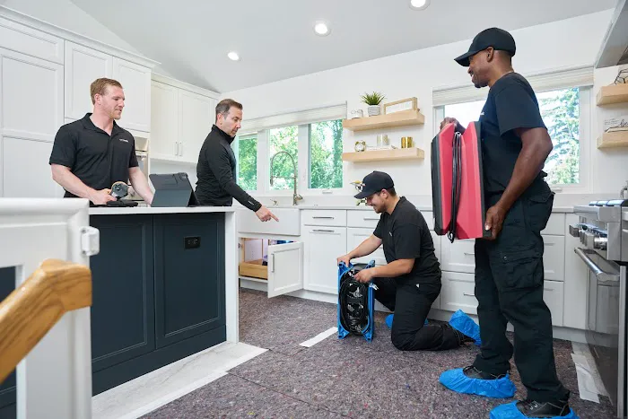 DRYmedic of Melissa Picture 5