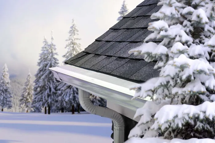 LeafFilter Gutter Protection Picture 4