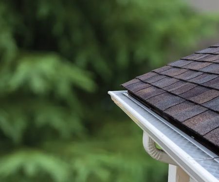 LeafFilter Gutter Protection