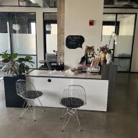 PuroClean of Fresno ico