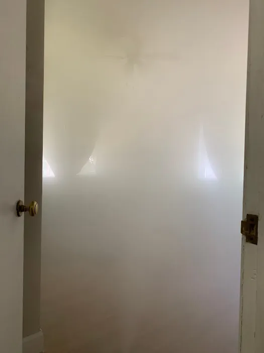 Fresno Mold Picture 3