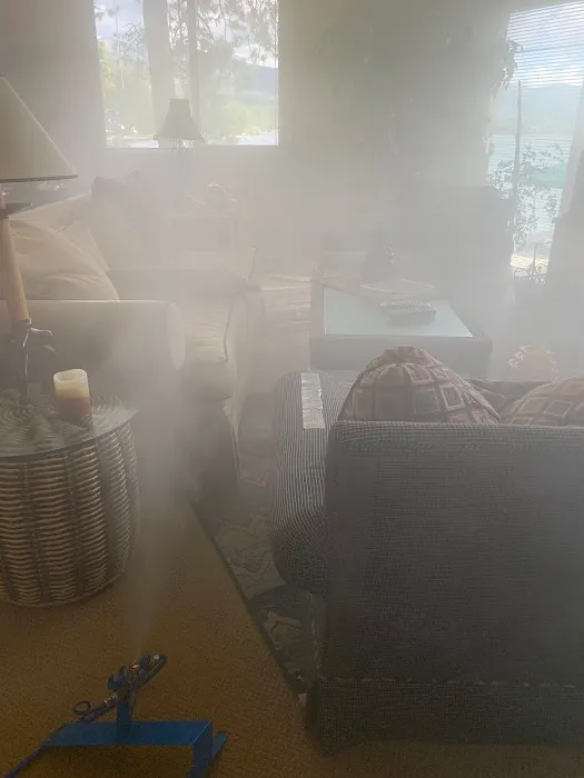 Fresno Mold Picture 8