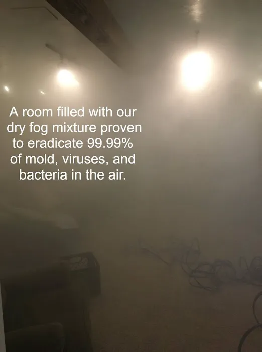 Fresno Mold Picture 5