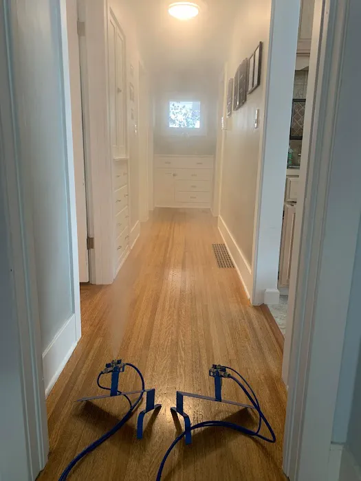 Fresno Mold Picture 1