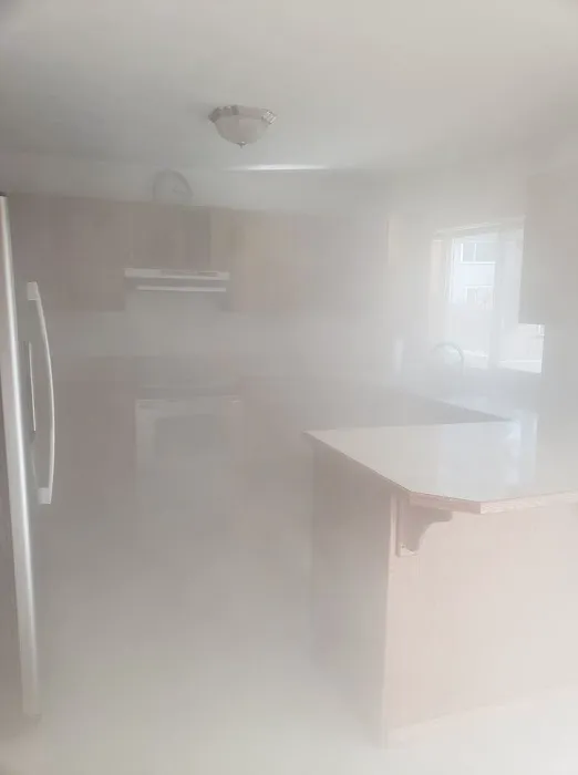 Fresno Mold Picture 6