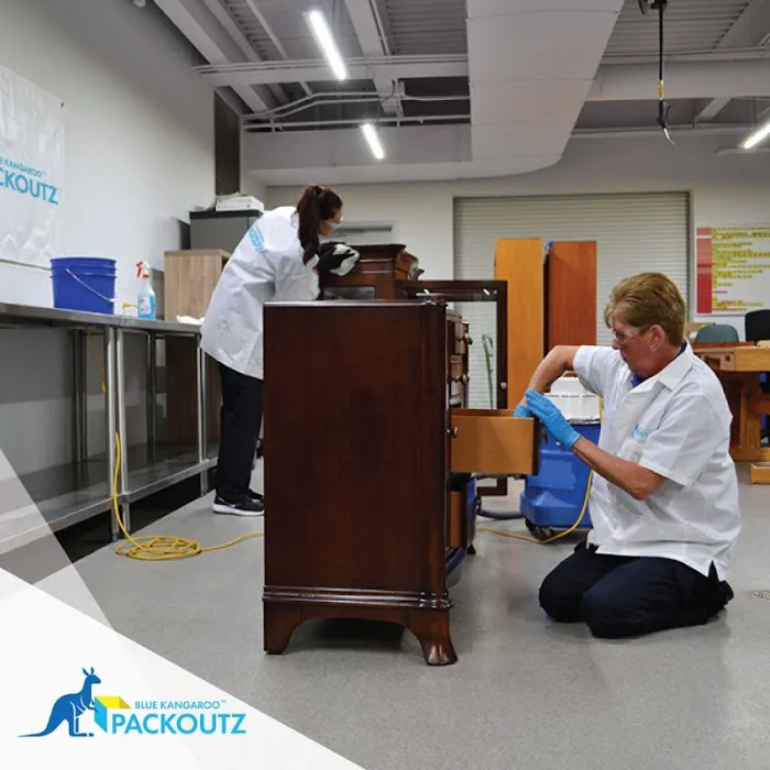 Blue Kangaroo Packoutz of Fresno County Picture 10