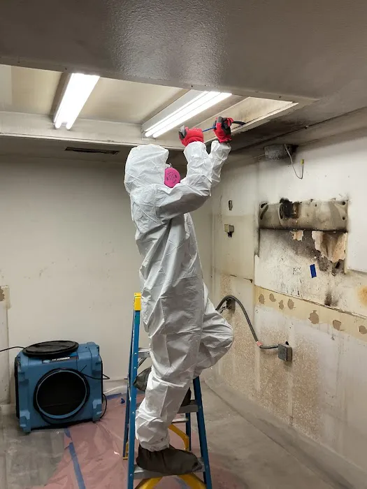 United Restorations Picture 8