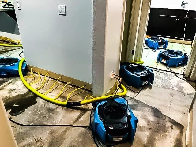 Restore Tech, Inc. Picture 8