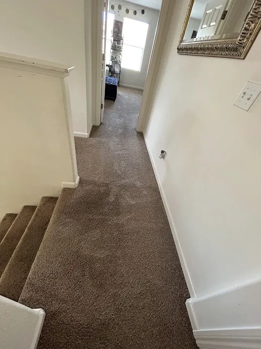 Stanley Steemer Picture 3