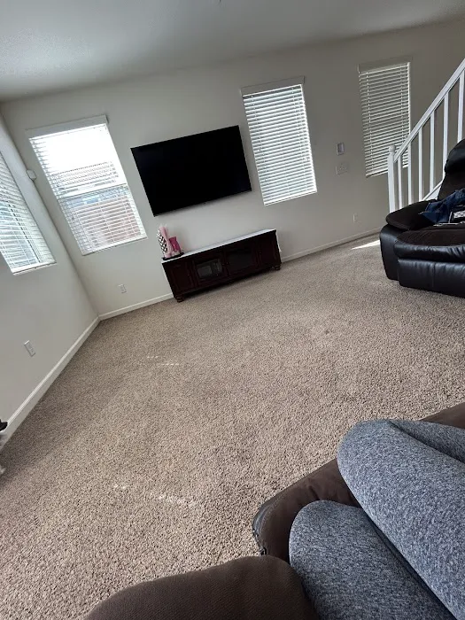 Stanley Steemer Picture 7