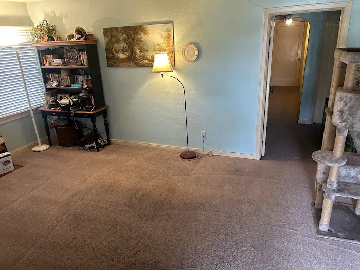 Stanley Steemer Picture 10