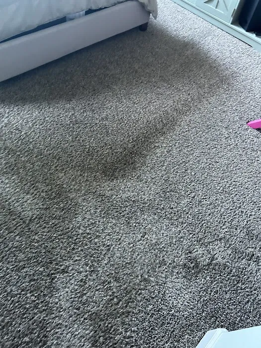 Stanley Steemer Picture 6