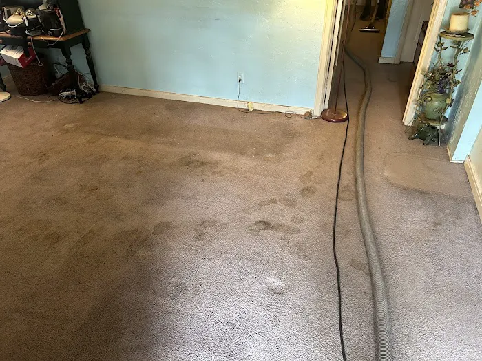 Stanley Steemer Picture 5