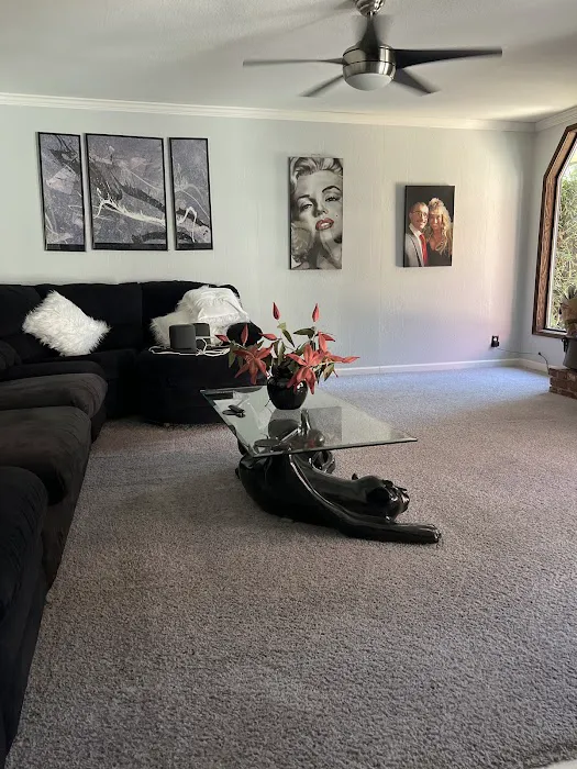 Stanley Steemer Picture 4