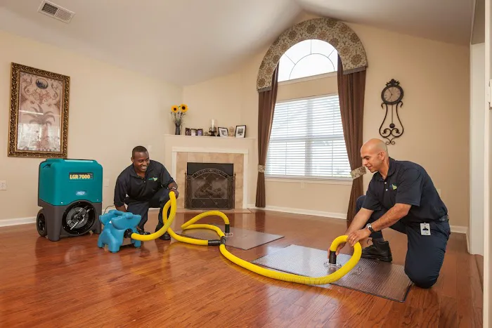 ServiceMaster at Fresno Picture 5