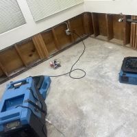 Central Valley Water Restoration ico