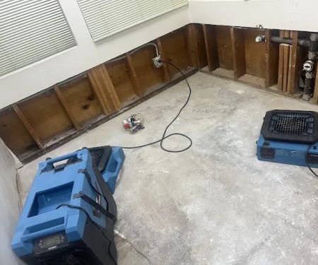 Central Valley Water Restoration