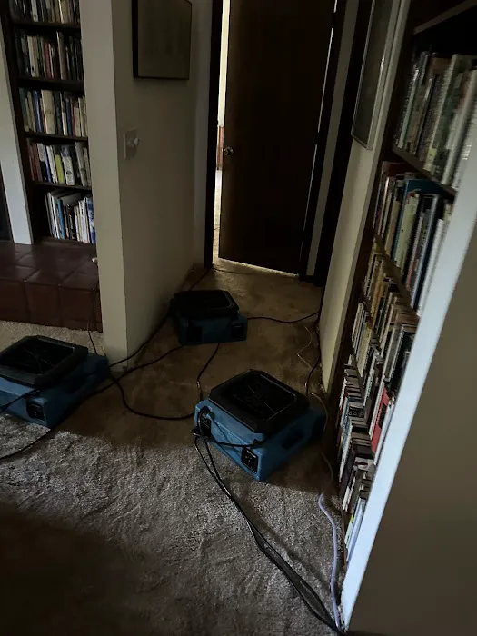 Central Valley Water Restoration Picture 8