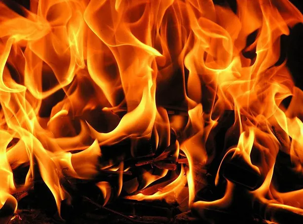 Alliance Environmental Group Picture 8