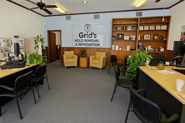 Grid's Mold Removal & Remediation Fresno CA Picture 4