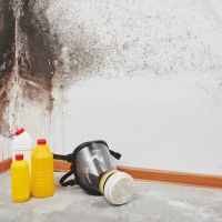 Grid's Mold Removal & Remediation Fresno CA ico