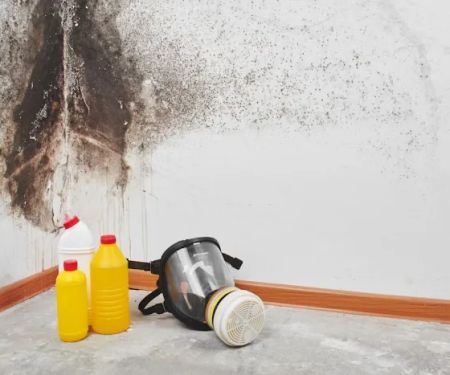 Grid's Mold Removal & Remediation Fresno CA