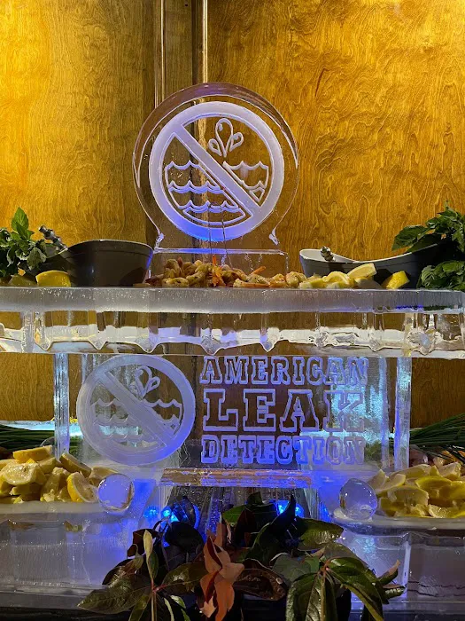 American Leak Detection of Central CA Picture 9