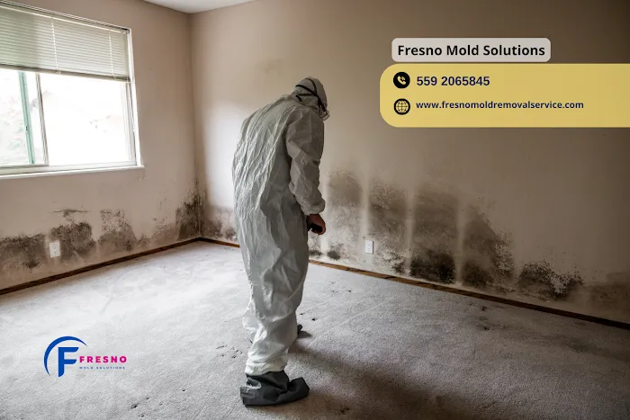 Fresno Mold Solutions Picture 1