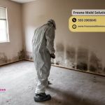 Fresno Mold Solutions
