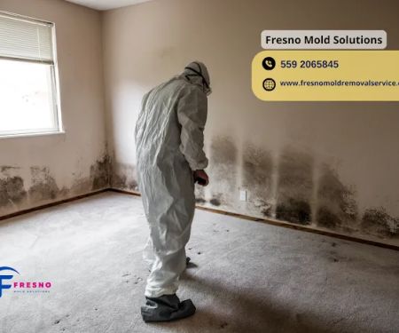 Fresno Mold Solutions