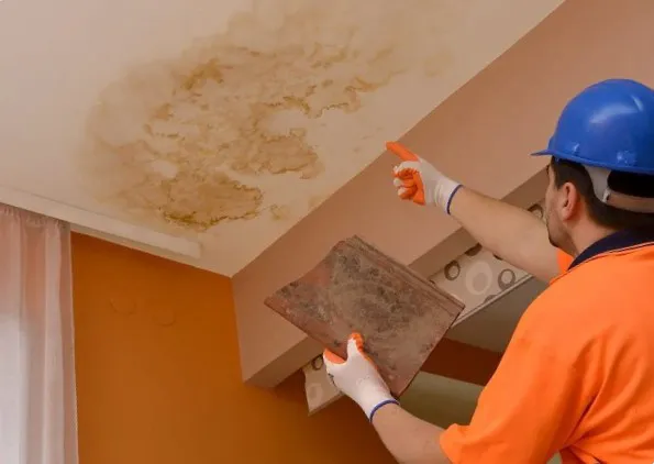 Heilan Water Damage Picture 1