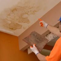 Heilan Water Damage ico