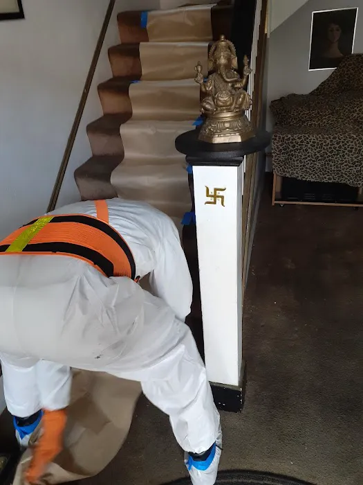 SERVICE PLUS Picture 5