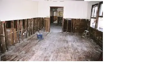 Fire Damage Patrol Picture 3