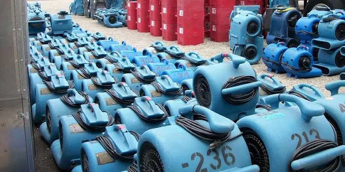 Dry Kings Restoration of San Francisco Picture 3