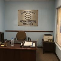 San Francisco's Mold Removal Masters ico
