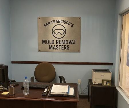 San Francisco's Mold Removal Masters