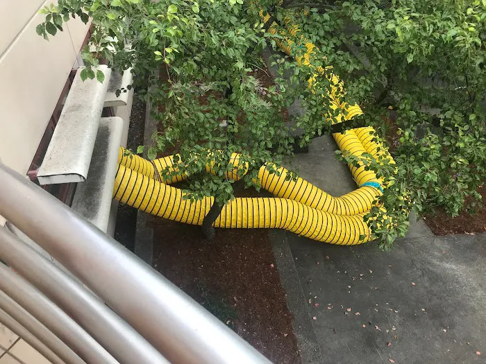 Allied Restoration Company Picture 10