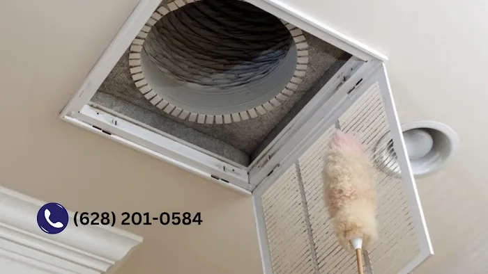 San Francisco Mold Specialists Picture 1