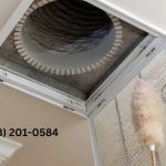 San Francisco Mold Specialists