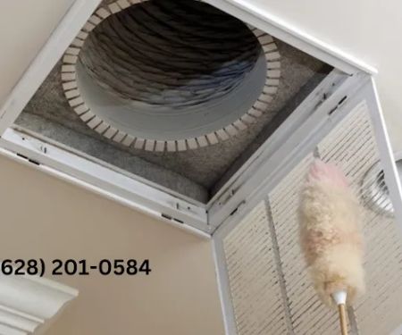 San Francisco Mold Specialists