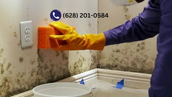 San Francisco Mold Specialists Picture 7